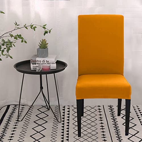 HOTKEI Pack of 2 Mustard Color Elastic Stretchable Dining Table Chair Seat Cover Protector Slipcover for Dining Table Chair Covers Stretchable 1 Piece Pack of 2 Seater